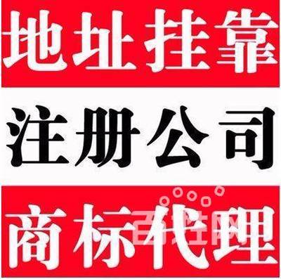 專業高效，一站式企業服務 相城區陸慕諾信財務小張詳解